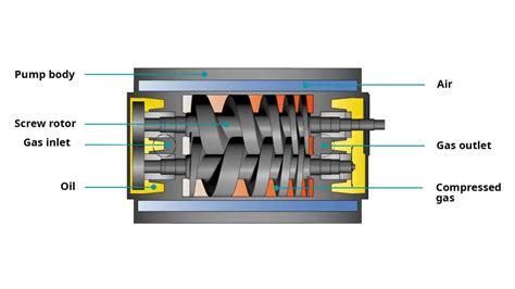 busch dry screw vacuum pump|busch vacuum pump manual pdf.